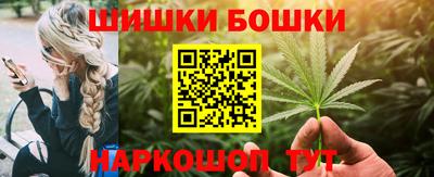 сатива Гатчина