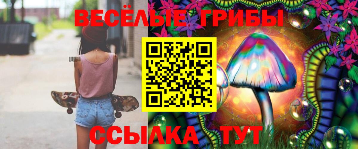 Пугачёв  Псилоцибиновые грибы GOLDEN TEACHER  Вход с VPN 